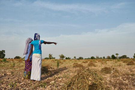 Rethinking Land Use to Support Global Biodiversity Image